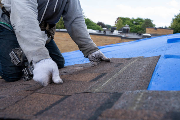 Best Metal Roofing Contractor  in Curtice, OH