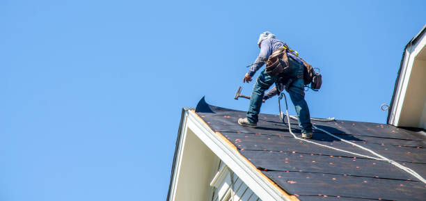 Best Roof Waterproofing Services  in Curtice, OH
